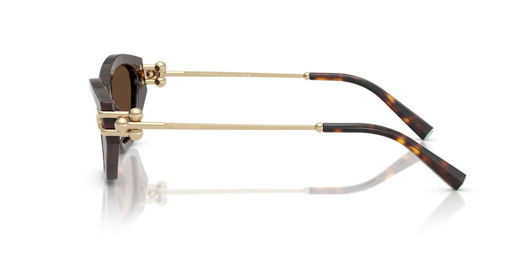 Tiffany & Co. - TF4231-U