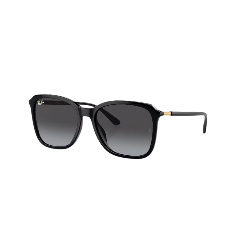 RayBan - RB4417L