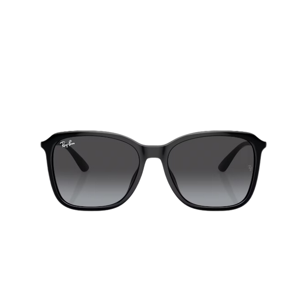 RayBan - RB4417L