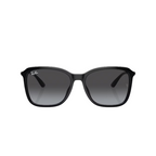 RayBan - RB4417L