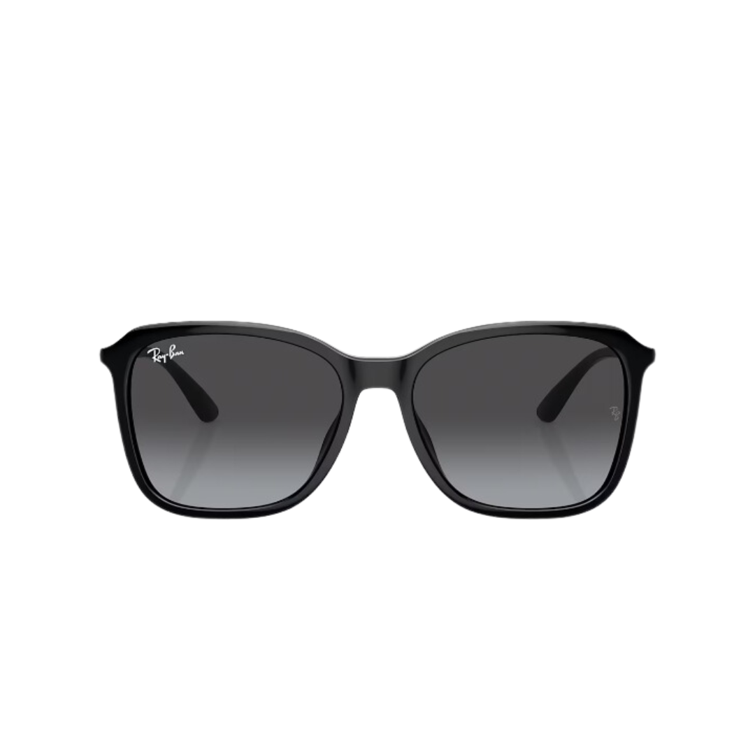 RayBan - RB4417L