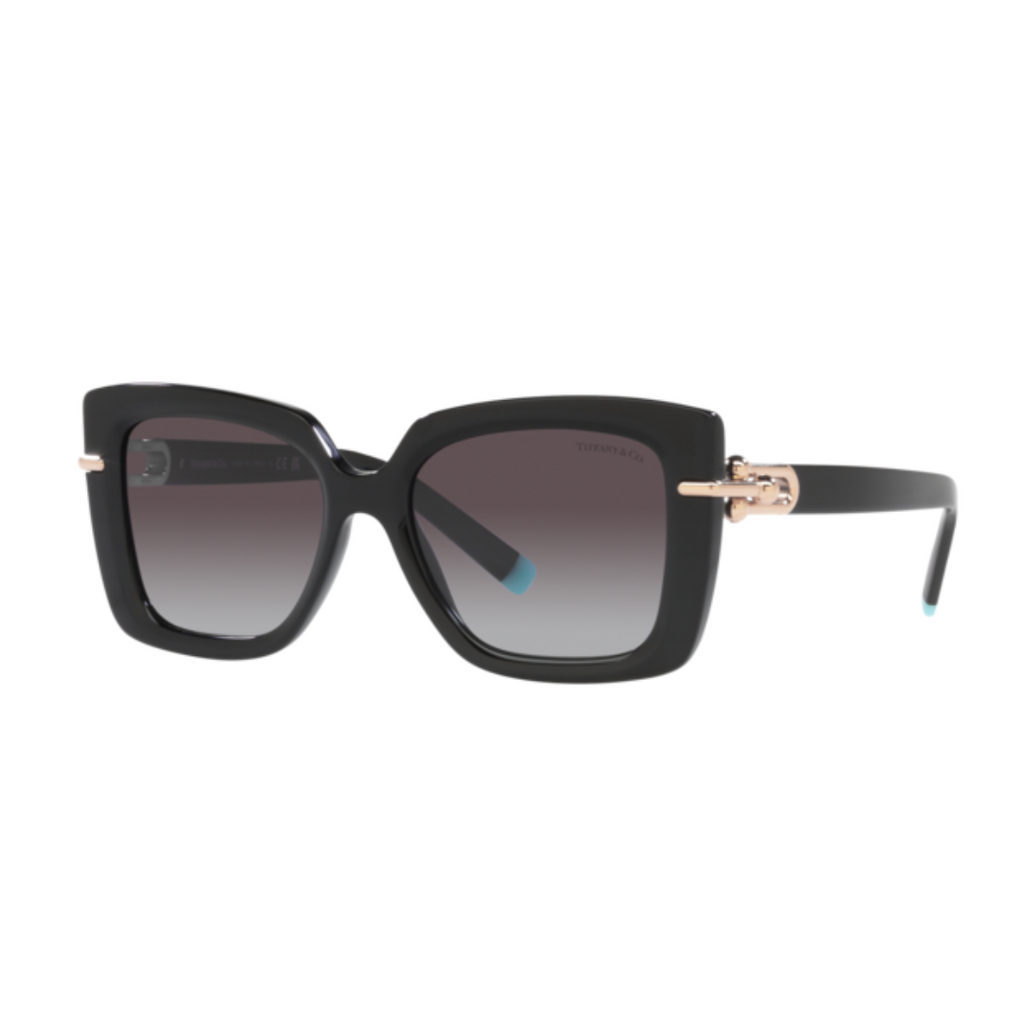 Tiffany & CO. - TF4199