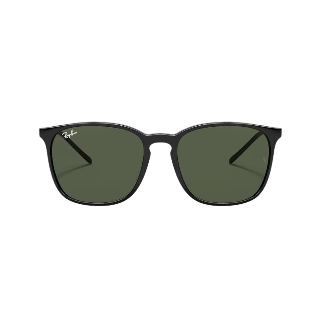 RayBan - RB4387