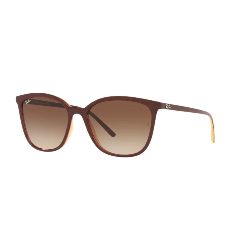 RayBan - RB4350L