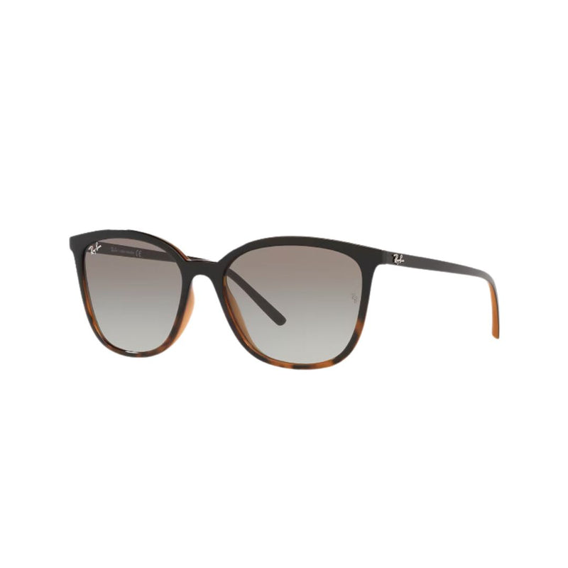 RayBan - RB4350L