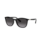 RayBan - RB4317L