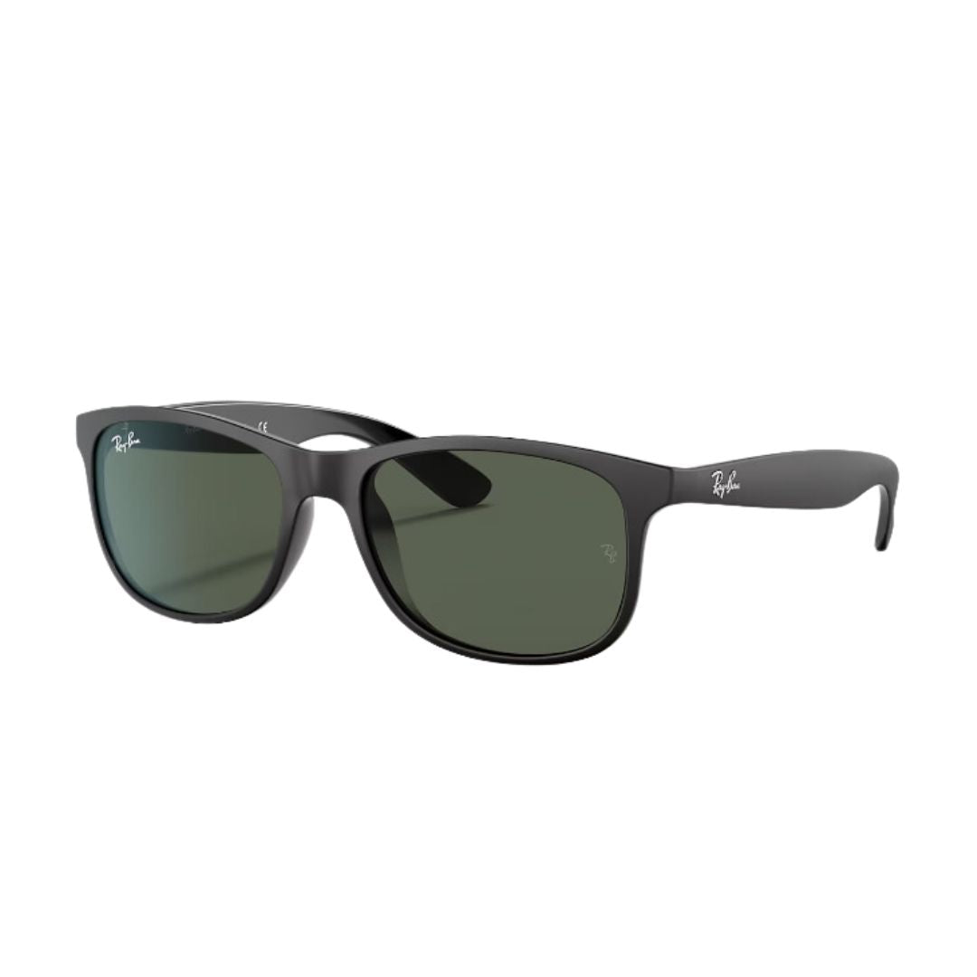 RayBan - RB4202