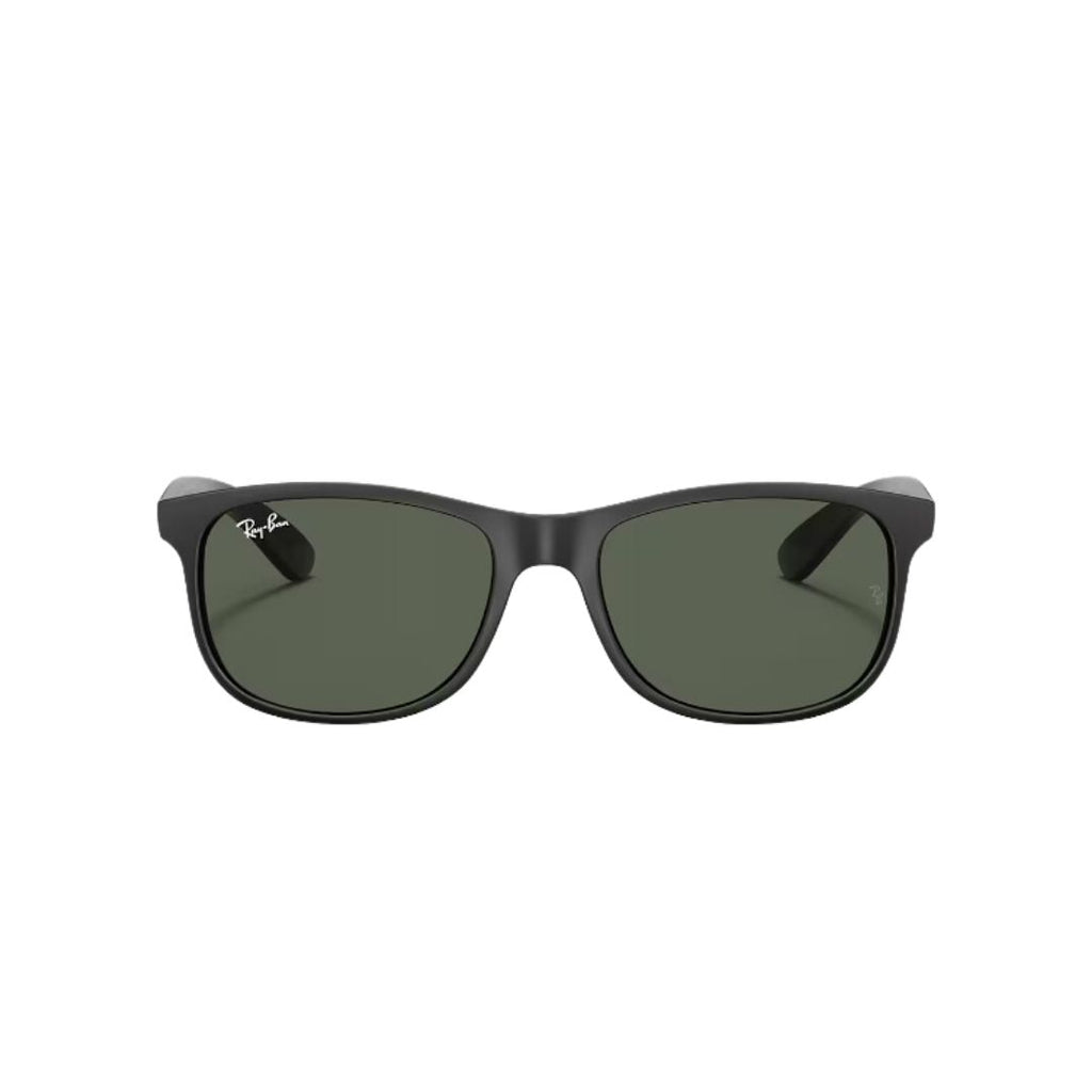RayBan - RB4202