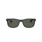 RayBan - RB4202