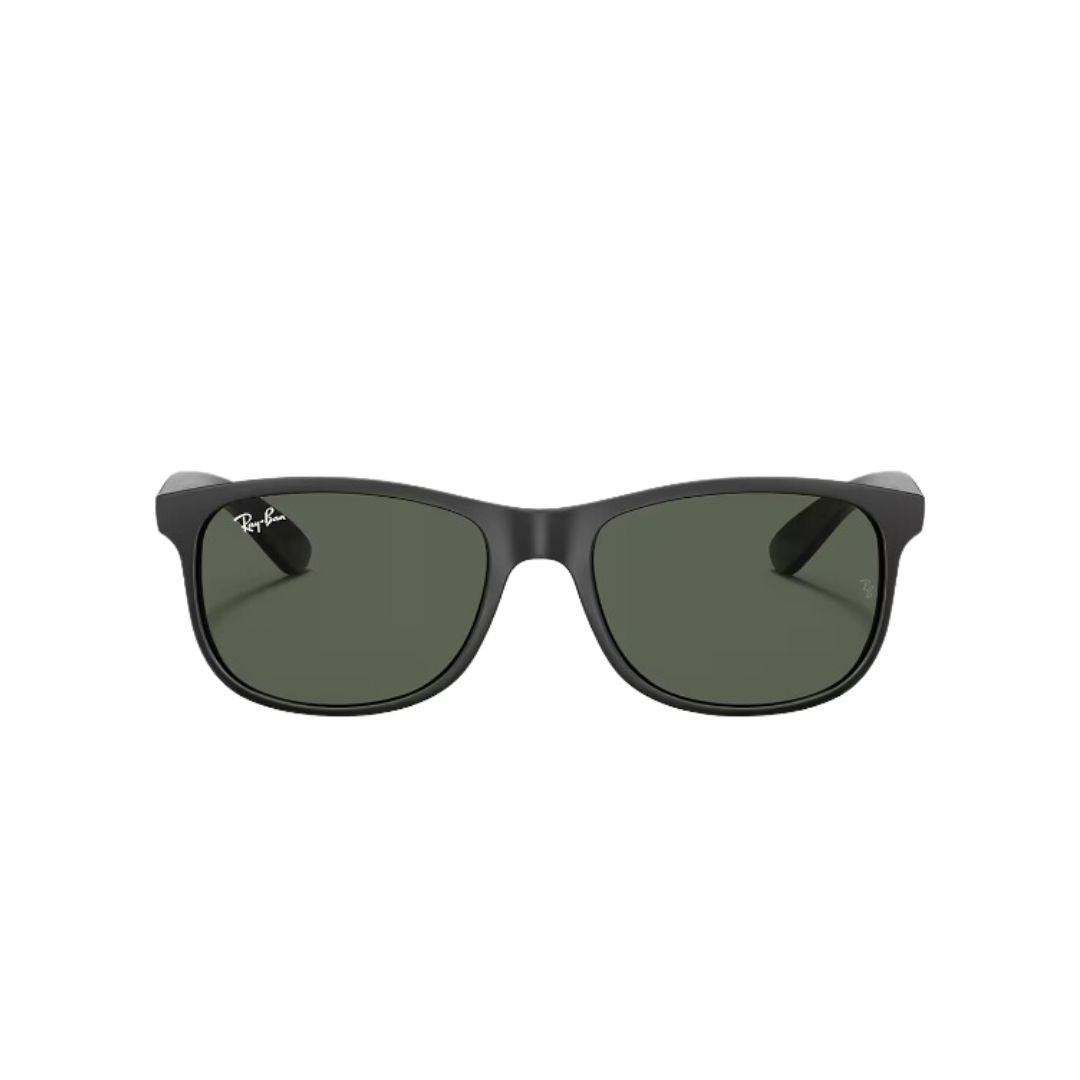 RayBan - RB4202