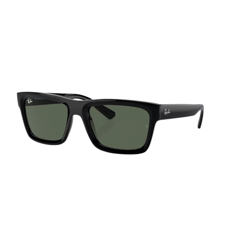 RayBan - RB4396