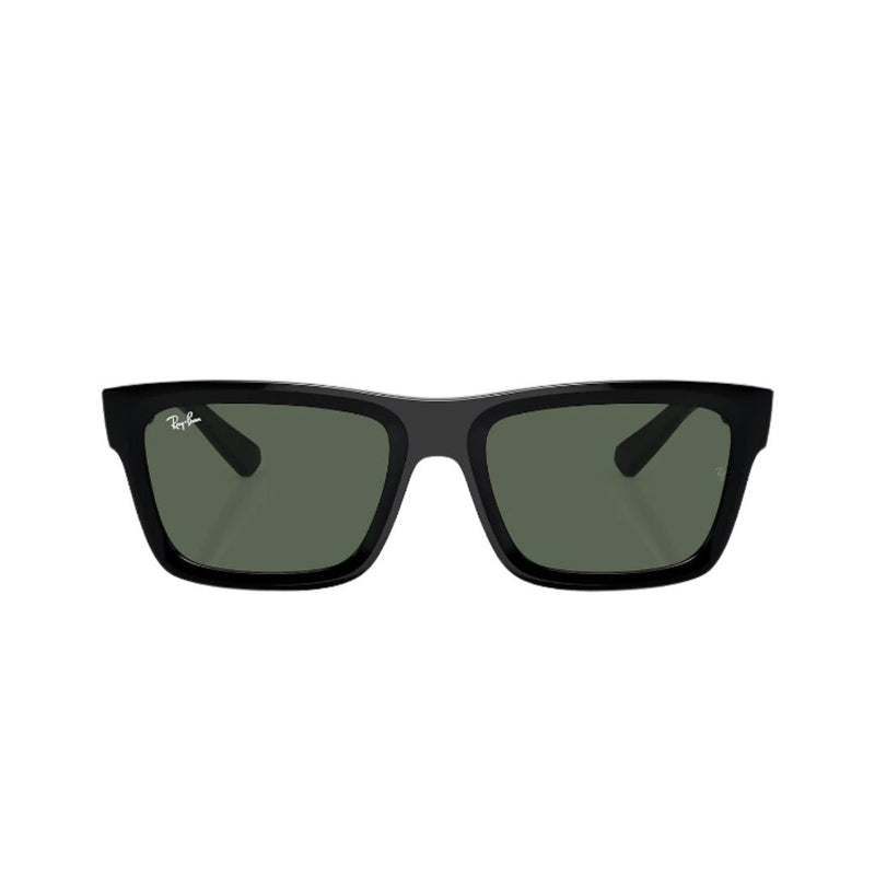 RayBan - RB4396