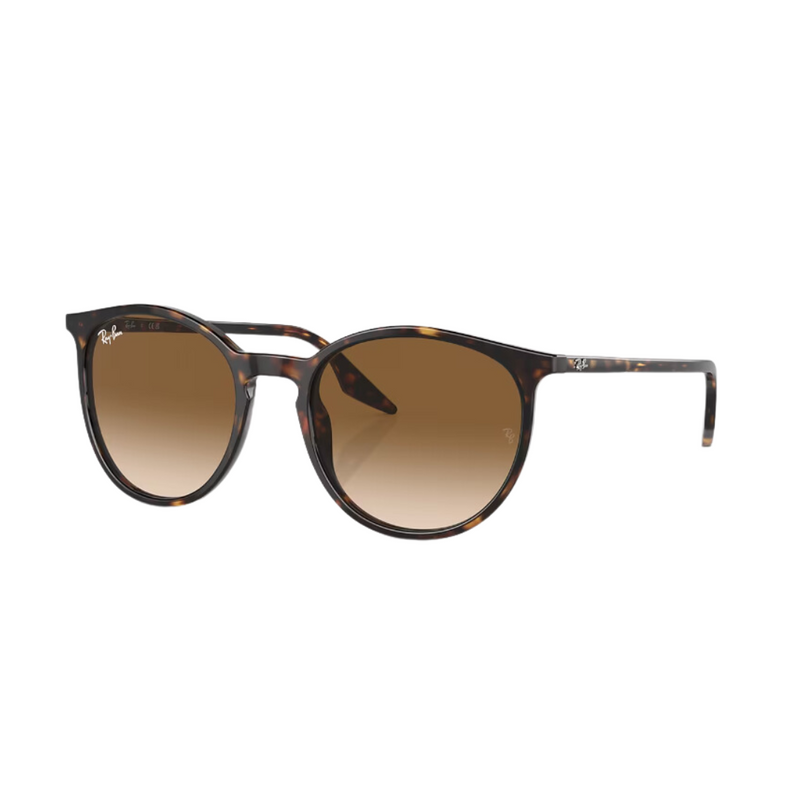 RayBan - RB2204